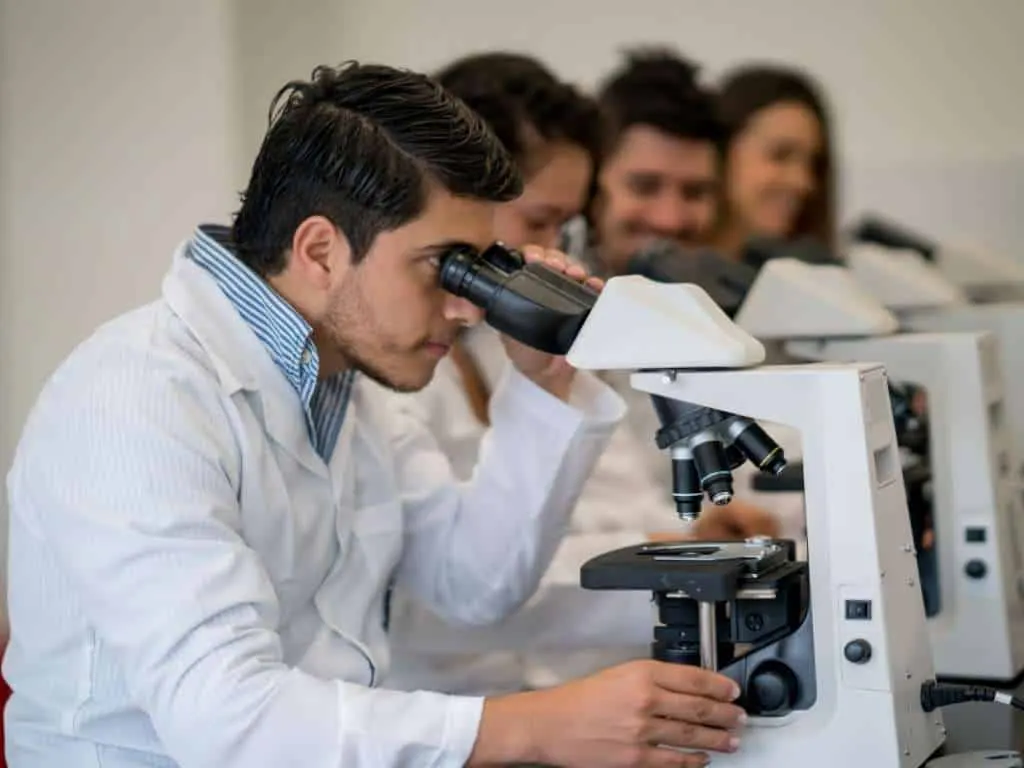 ¿Cómo aplicar el método científico? Paso a paso